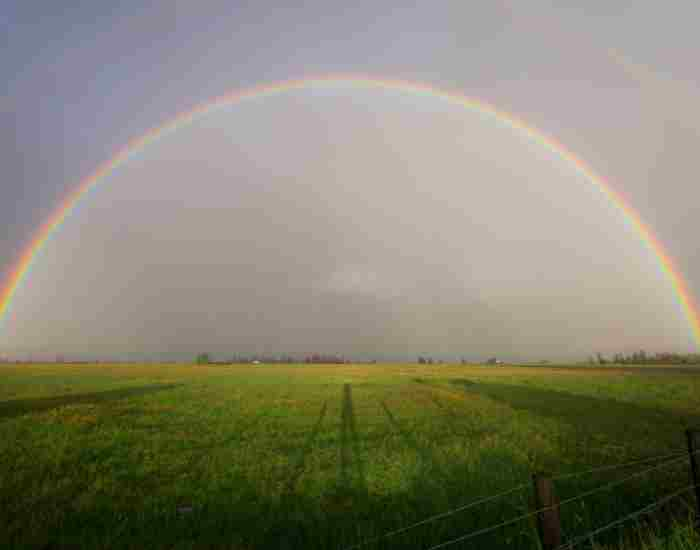 7 Colors of the Rainbow in Order