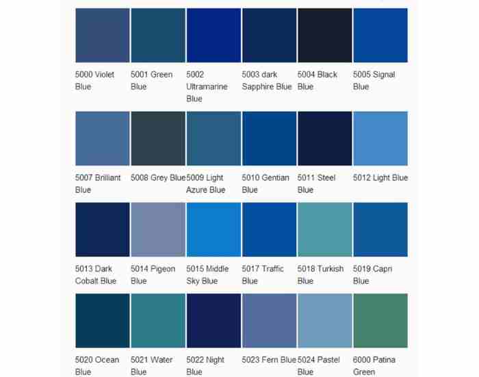 Warm and Blue Color Palettes