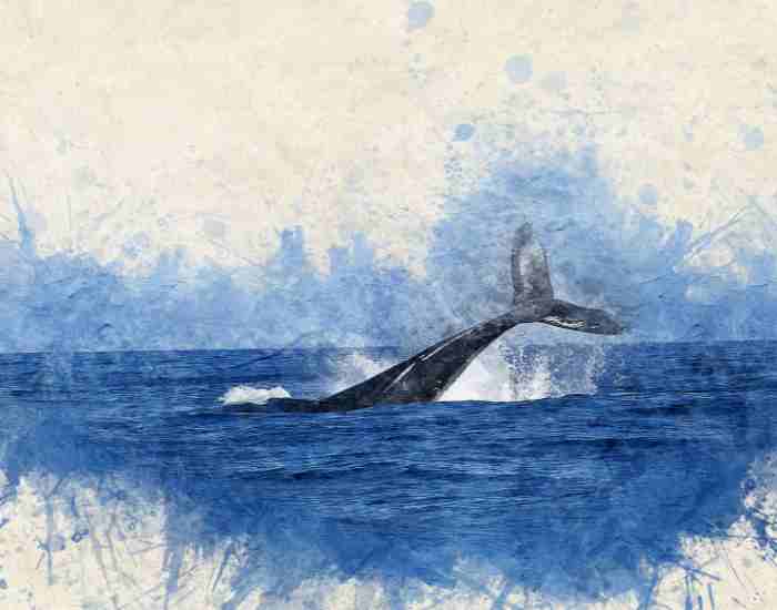 Watercolor Illustration Of Whale In The Sea