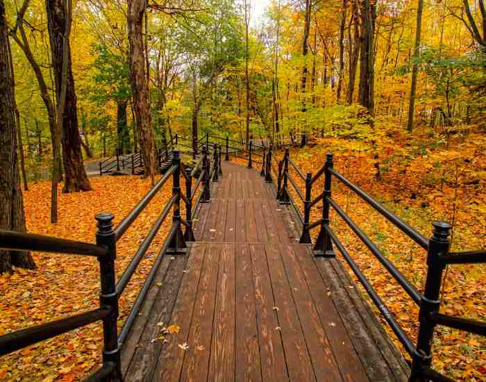 How to Mix Fall Landscape Colors: A Comprehensive Guide to Painting ...