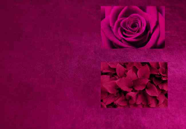 What colors make magenta